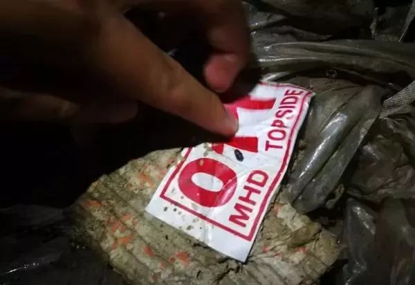 金平私挖走私凍肉事件調(diào)查：挖一斤可賣5元，一過秤就給錢