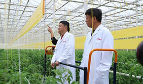 馬家廚房？馬家秘制老鴨煲？馬云的“假動作”為何讓市場興奮？