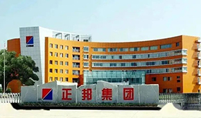 “江西豬王”易主，雙胞胎正式入主正邦