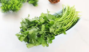 香菜餅、香菜丸、香菜油條、香菜小酥肉…香菜為啥這么“香”？