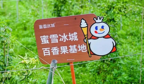 今日上市！覆蓋全球六大洲38個國家，“雪王”的采購網(wǎng)到底有多牛？