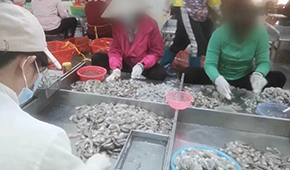 3·15晚會曝光凍蝦仁超量添加保水劑，相關(guān)企業(yè)產(chǎn)品下架